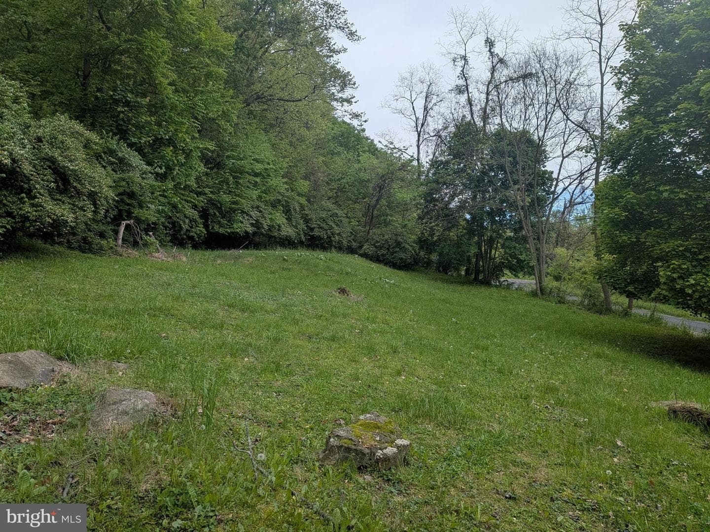 2418 Muddy Run Rd photo 11