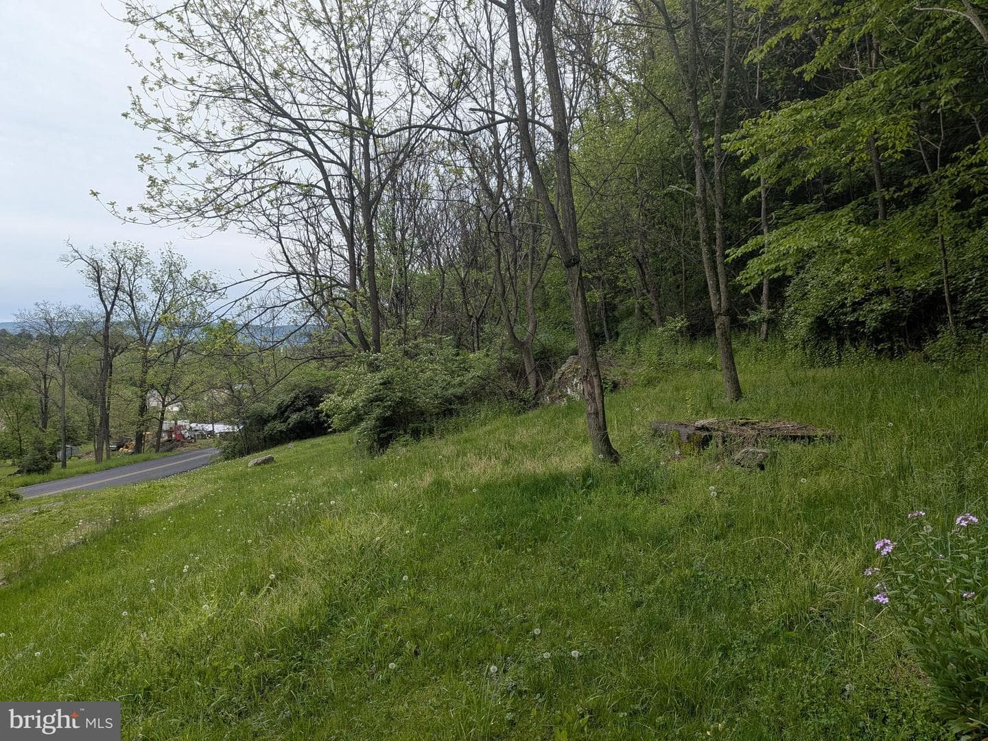 2418 Muddy Run Rd photo 12