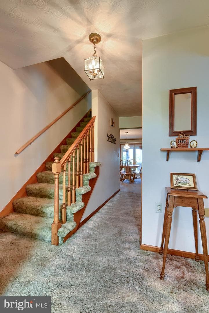 217 Musser Road photo 6