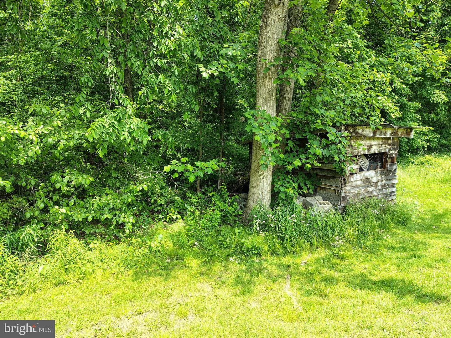 3021 Arch Rock Rd photo 33