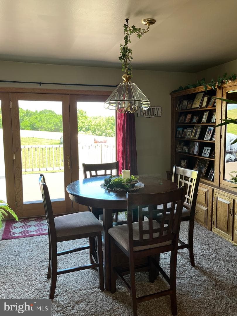 3843 Dressler Ridge Road photo 8