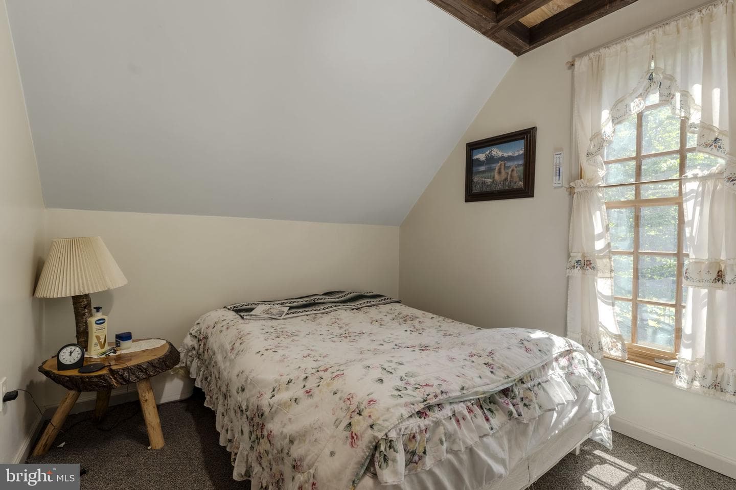 275 Lester Lane photo 46