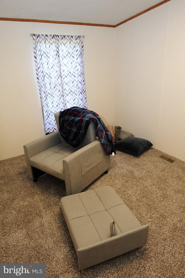 64 Harold Lane photo 14