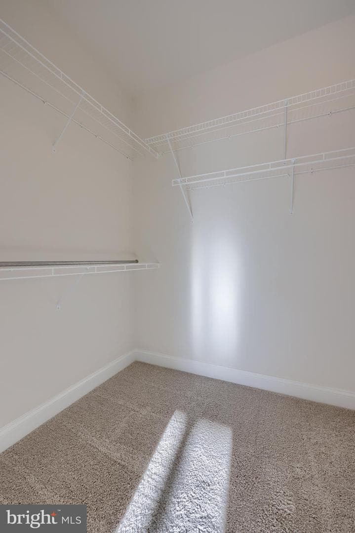 132 Copperstone Court #53 photo 22