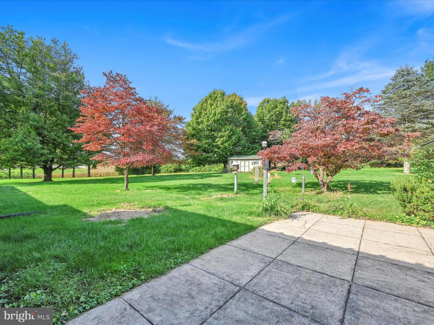 201 Buck Heights Road photo 23