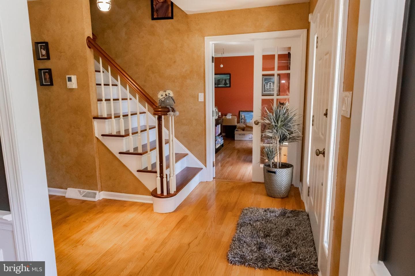 365 Copley Drive photo 3