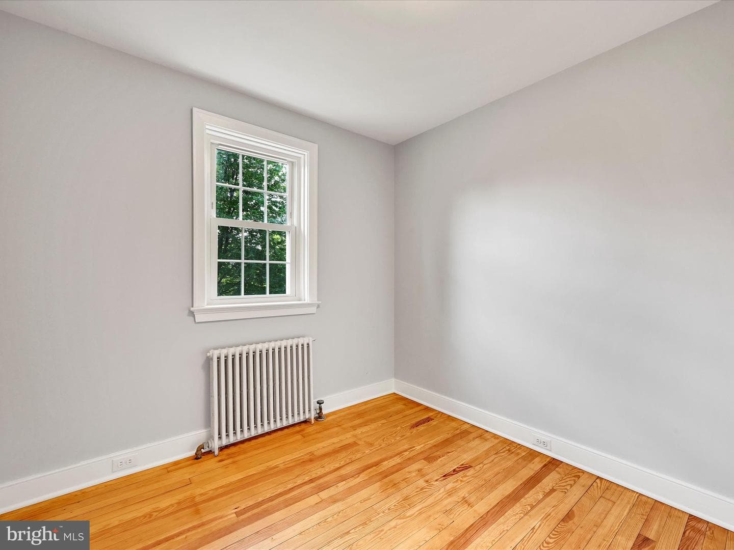 1705 Windsor Avenue photo 14