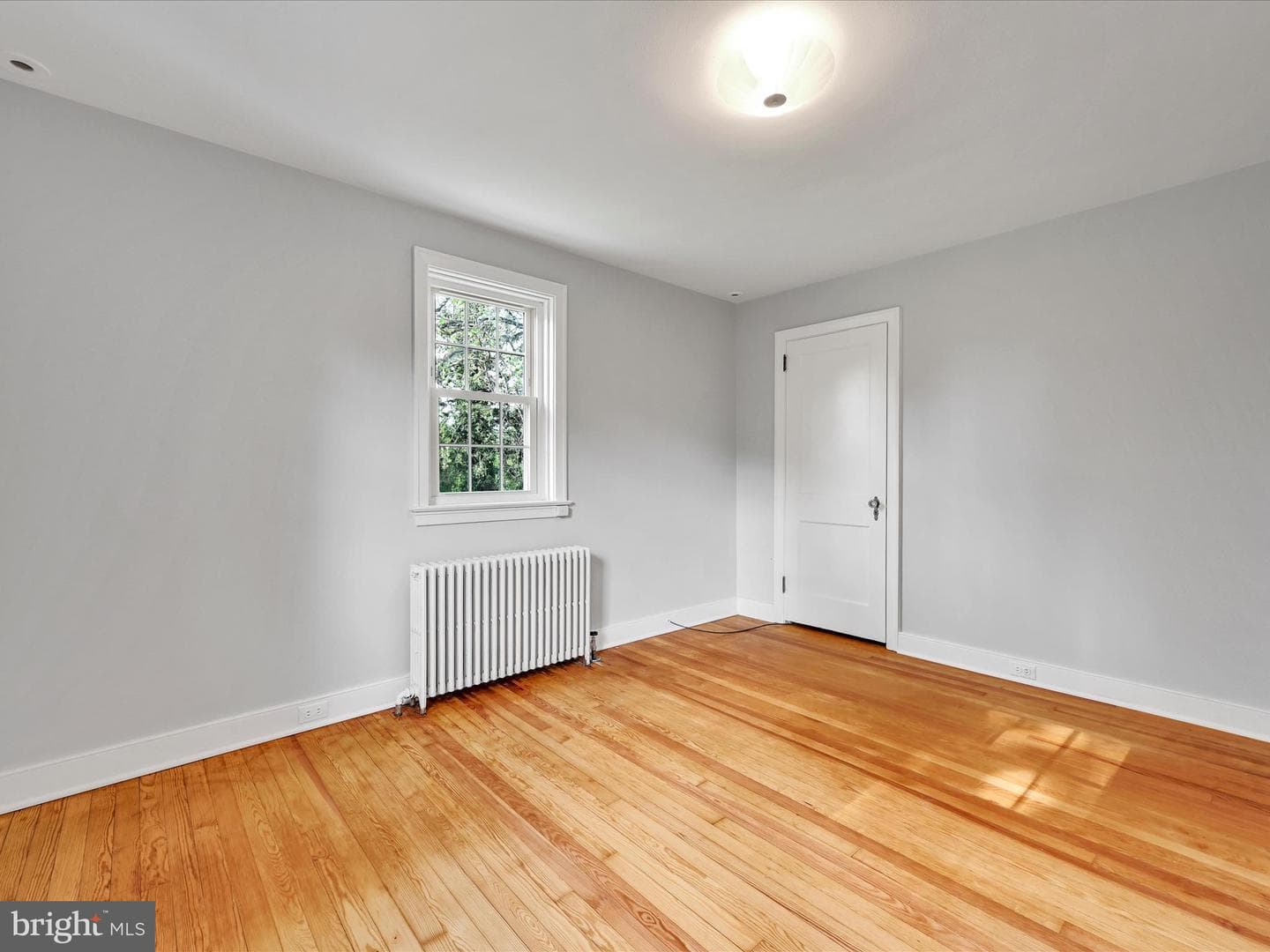 1705 Windsor Avenue photo 16