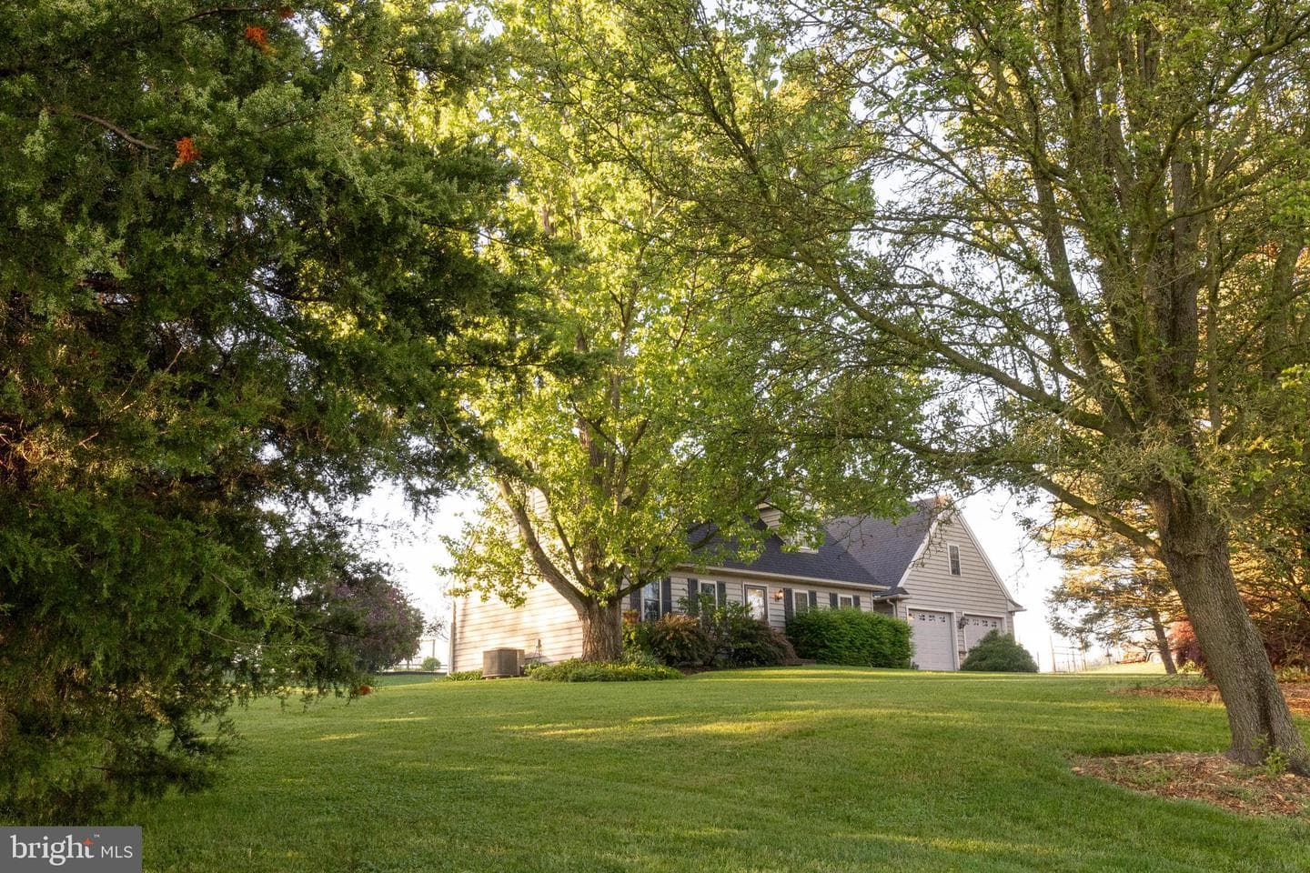 105 Scott Road photo 41