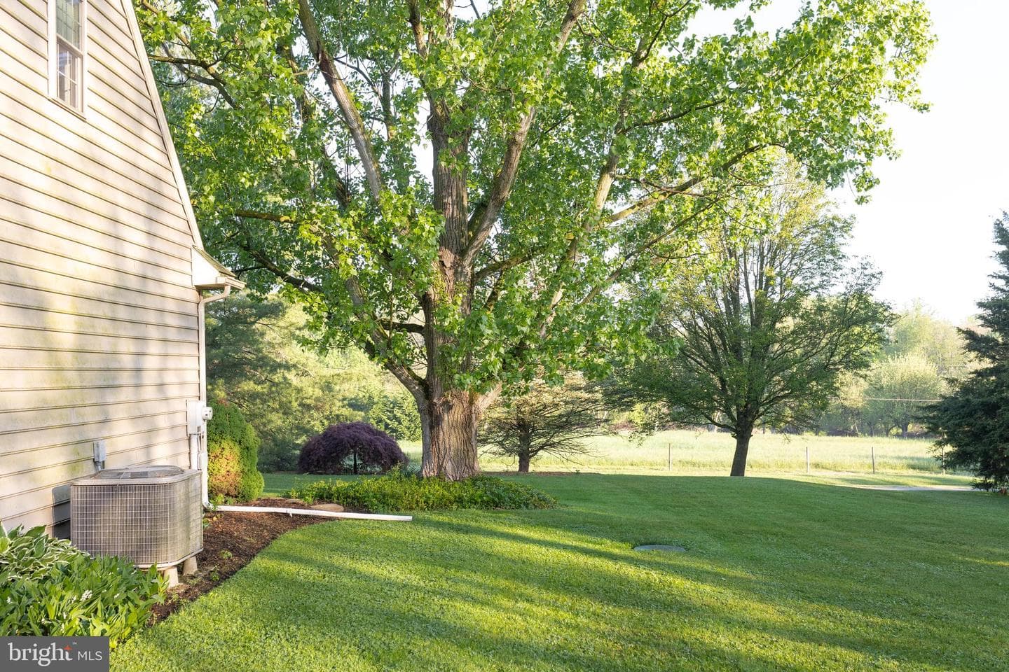 105 Scott Road photo 45