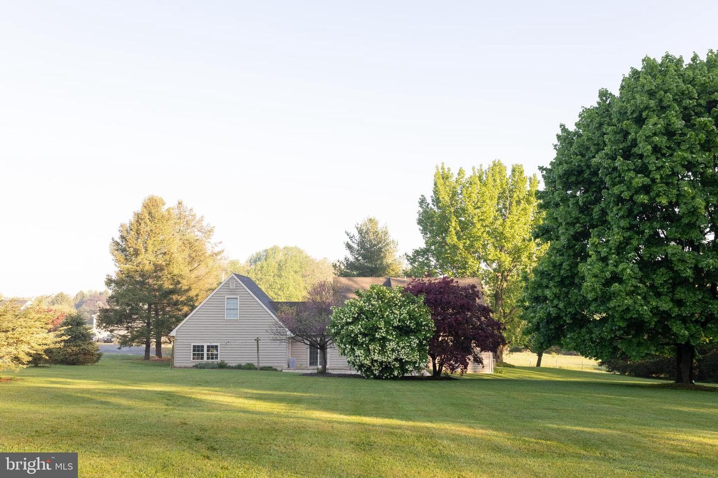 105 Scott Road photo 47