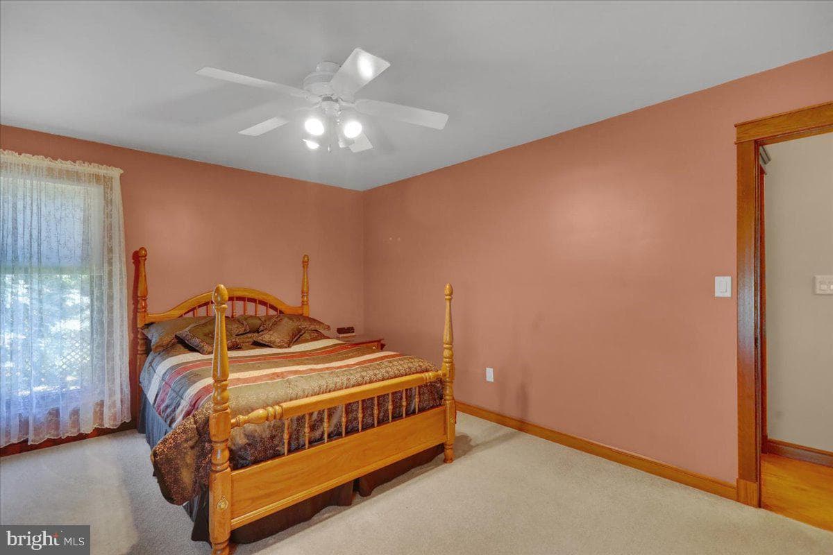 11 James Drive photo 33