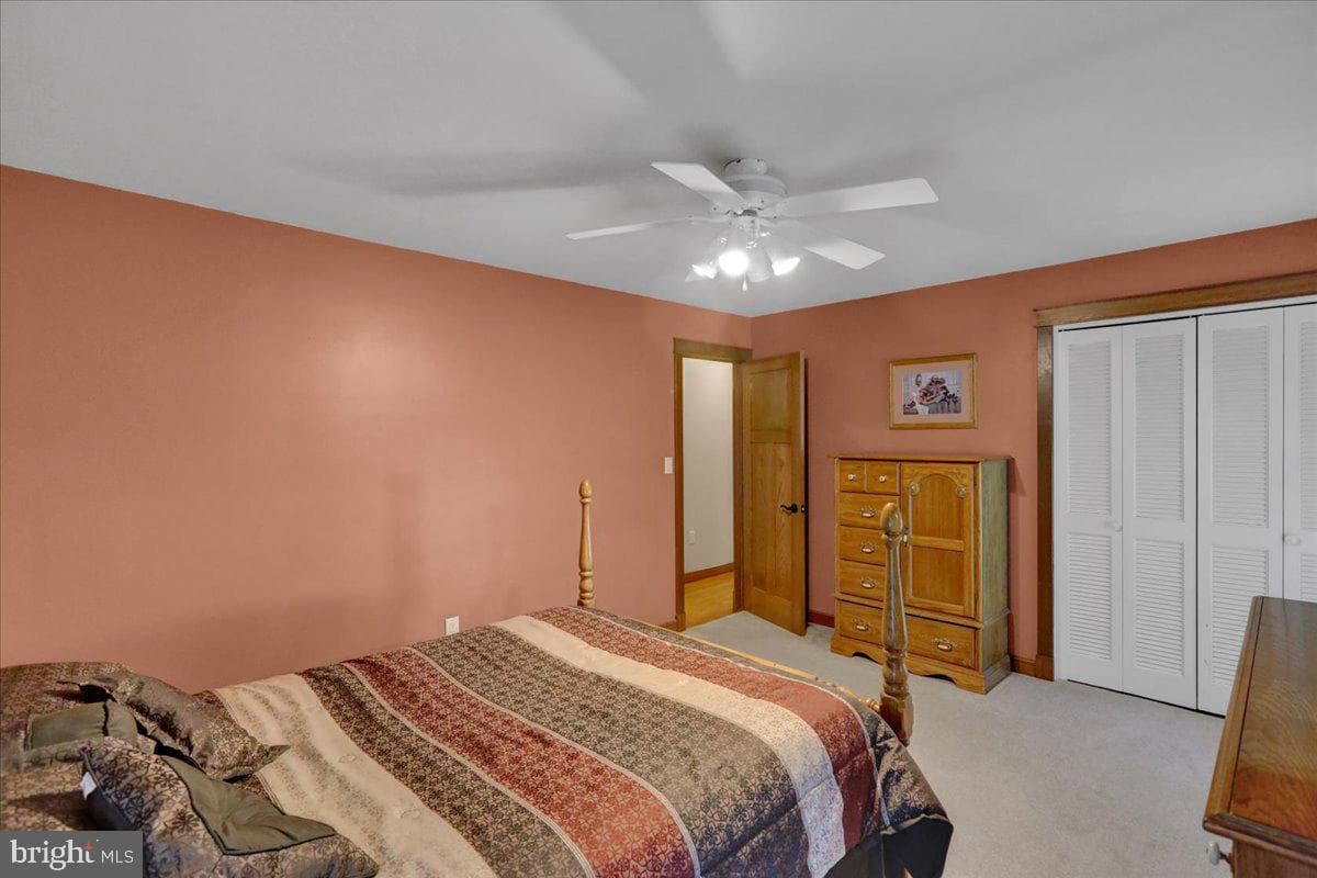11 James Drive photo 34