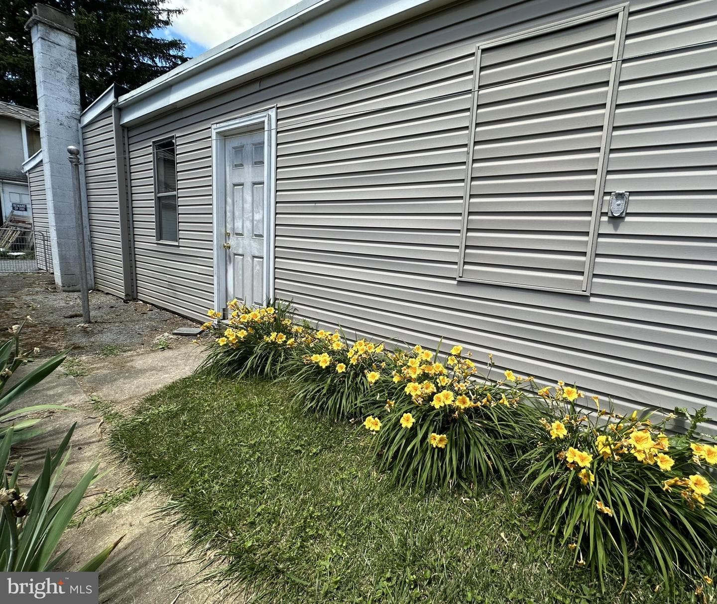 218 Magnolia Street photo 26