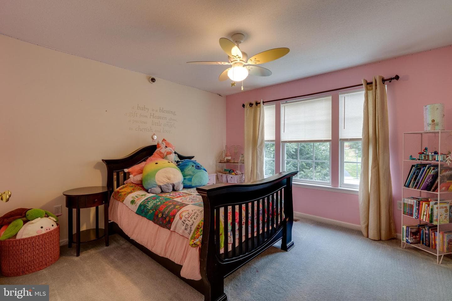 129 Julia Lane photo 42
