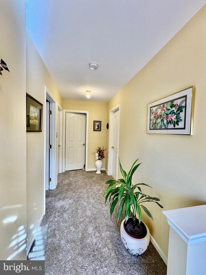 125 Talon Drive photo 18