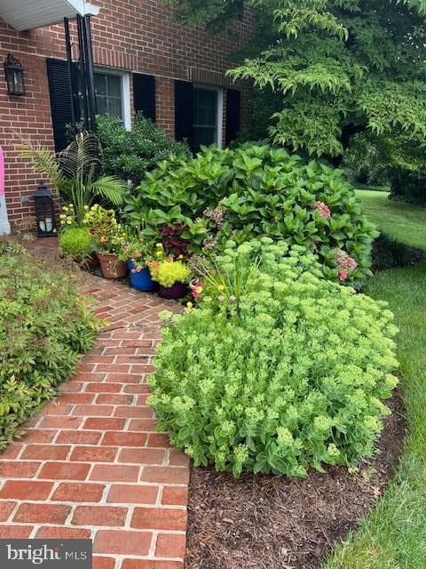 110 Tracy Court photo 3