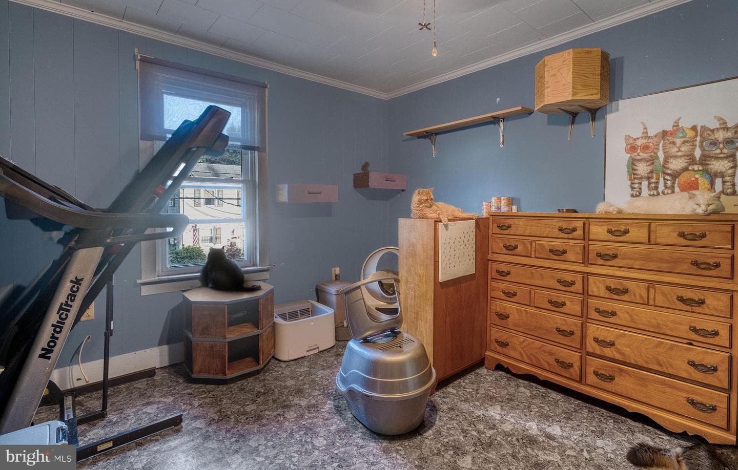 448 N Cedar Street photo 13