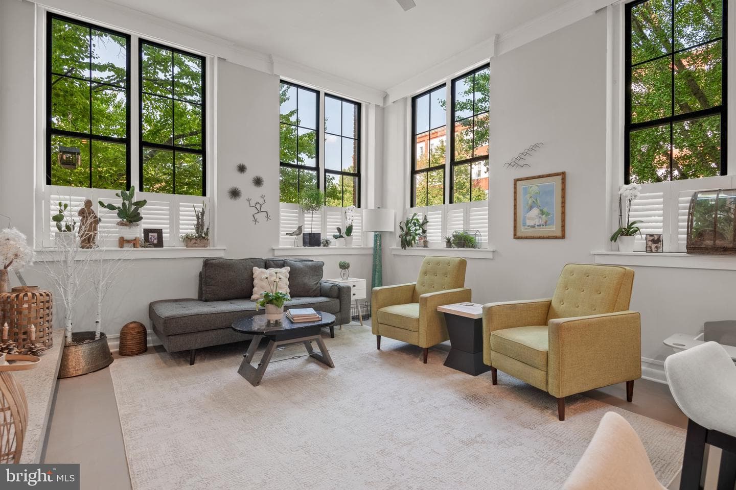 917 Columbia Avenue #425 photo 3