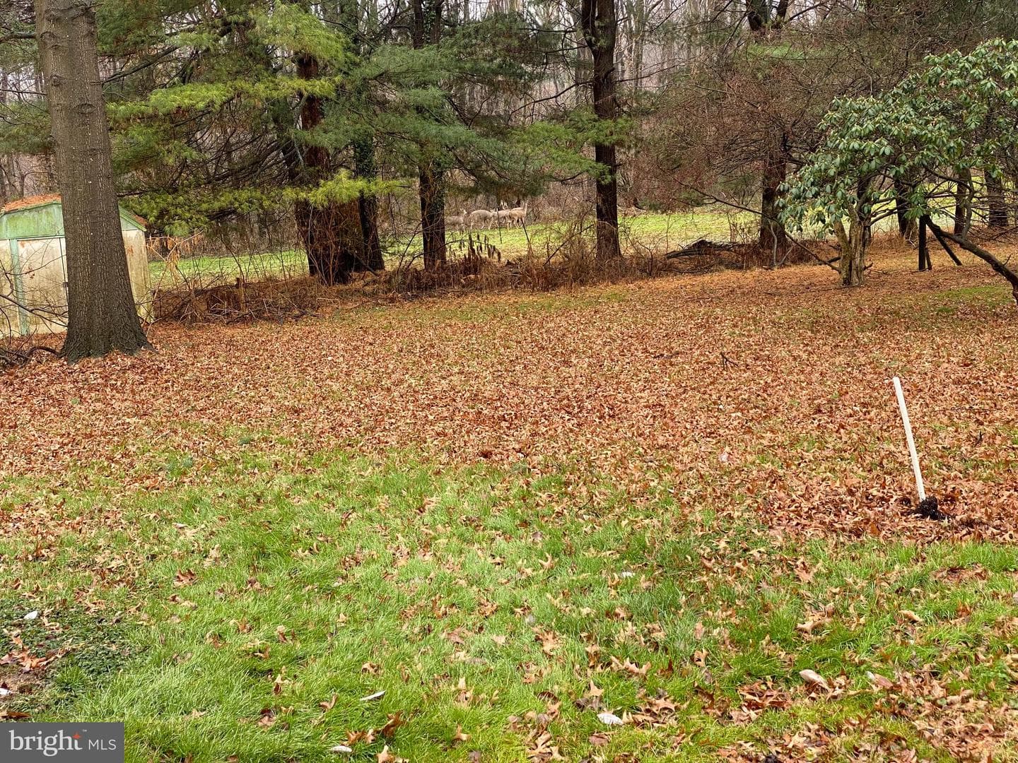 1438 Village Road photo 4