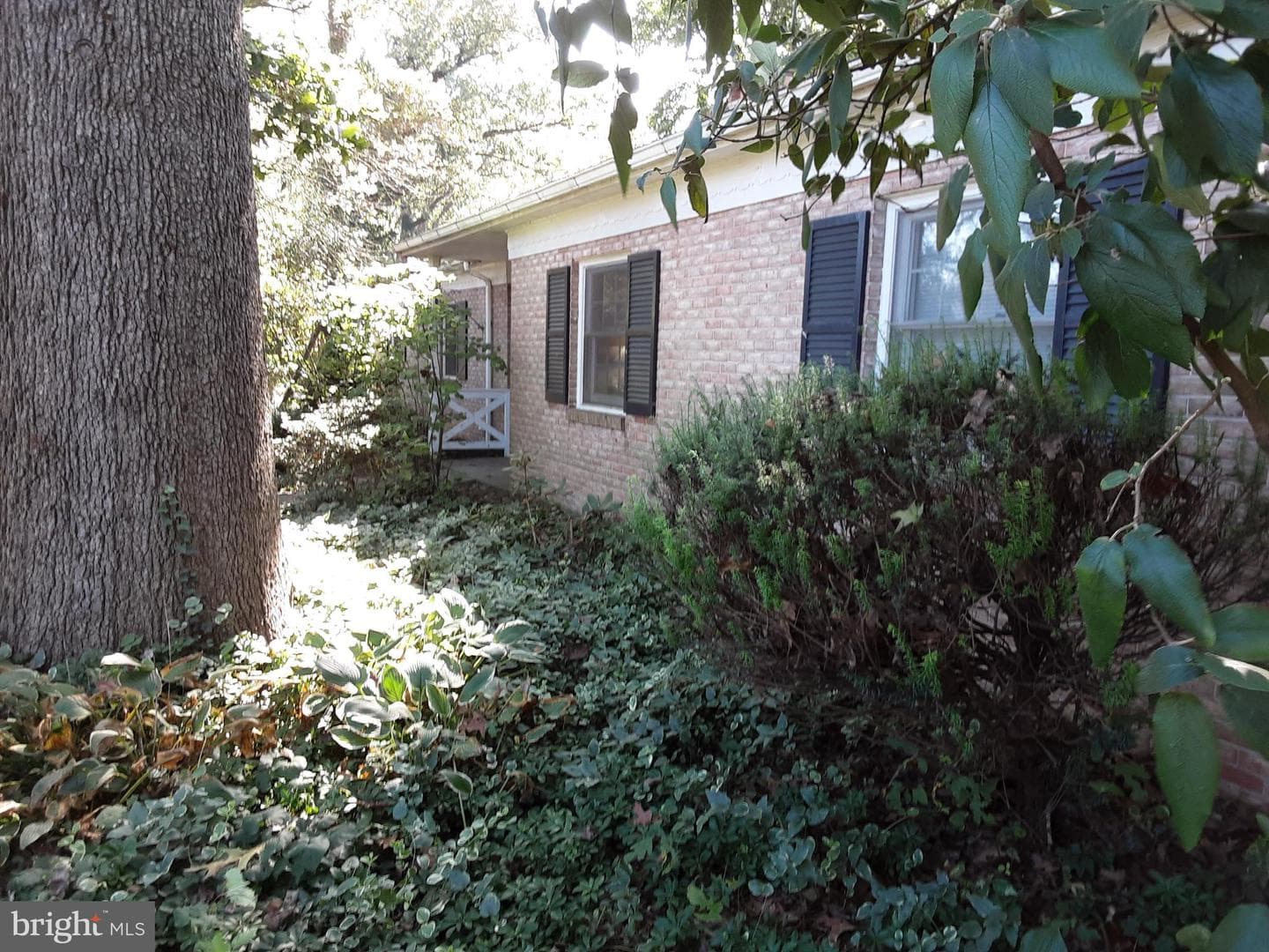 14 Clairmont Drive photo 2