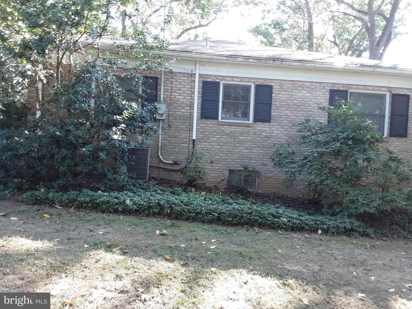 14 Clairmont Drive photo 3