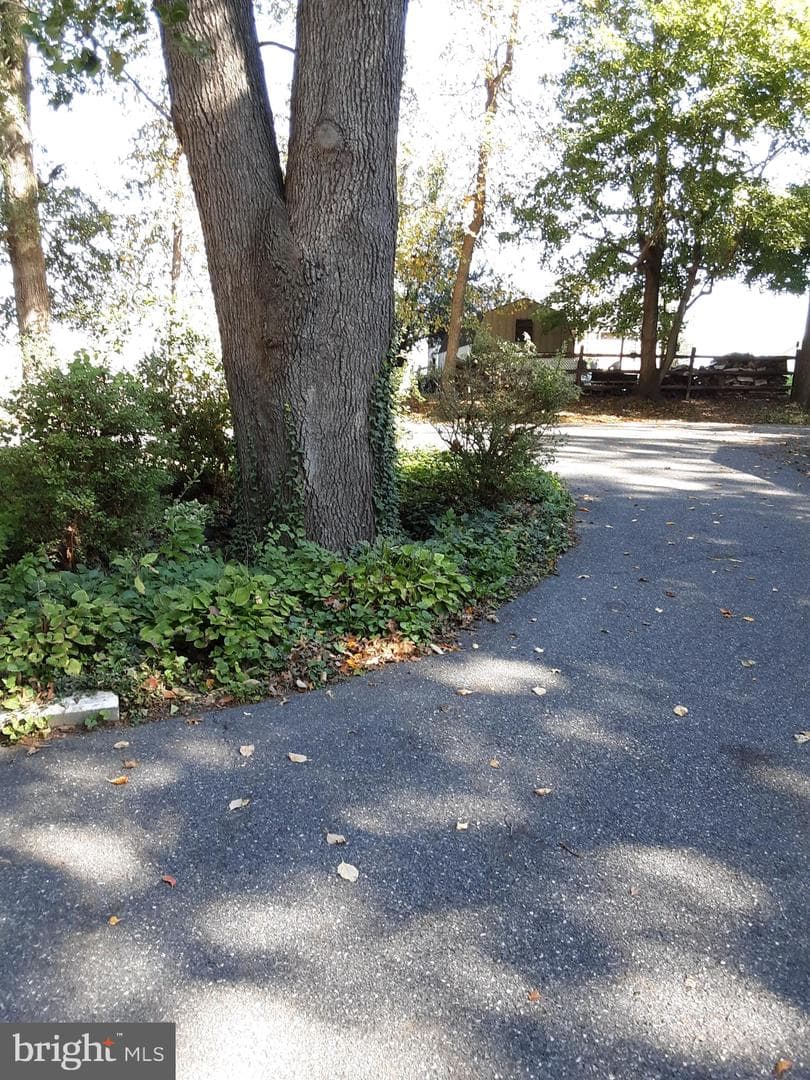 14 Clairmont Drive photo 4