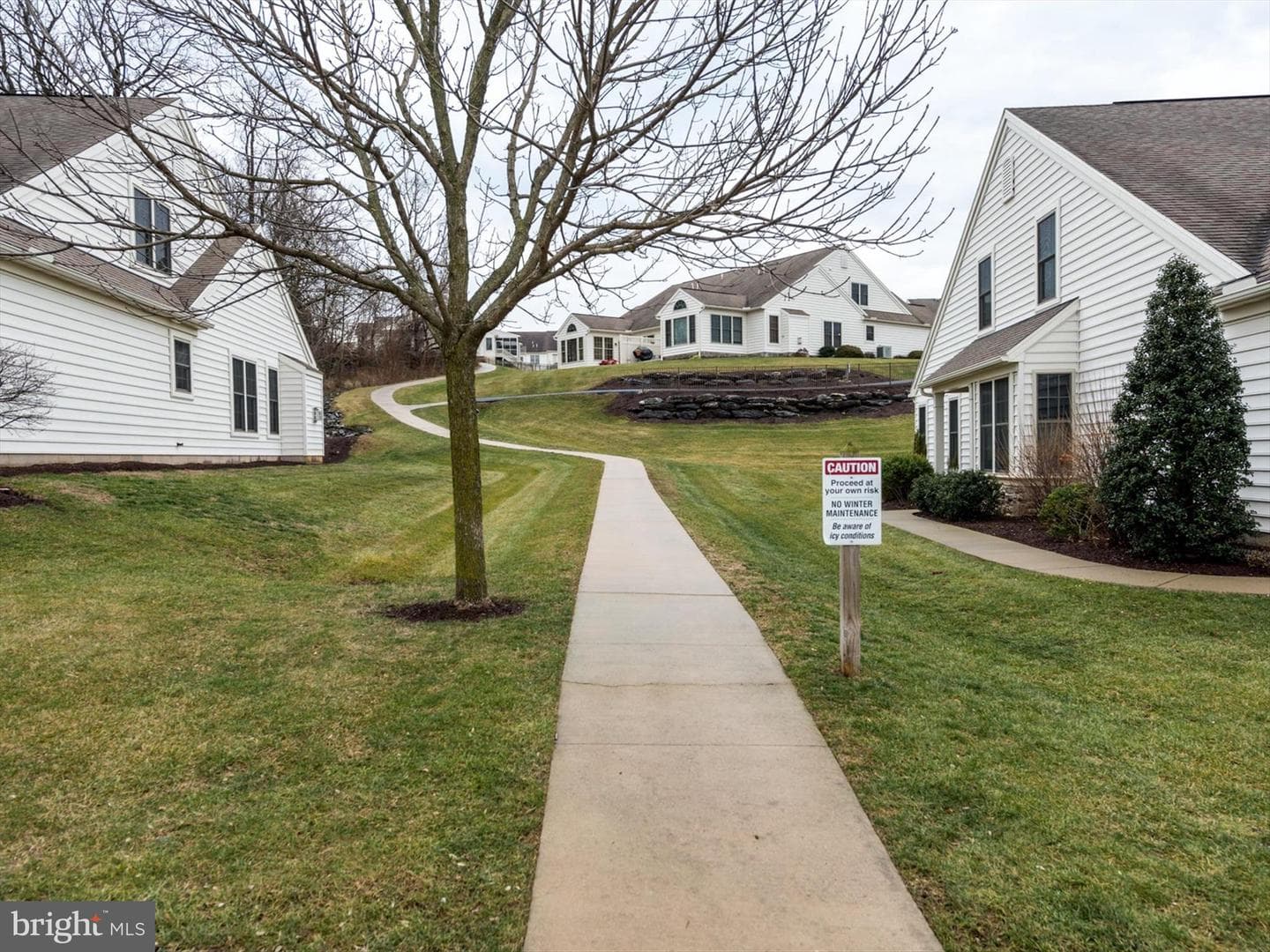 80 Duncan Street photo 51