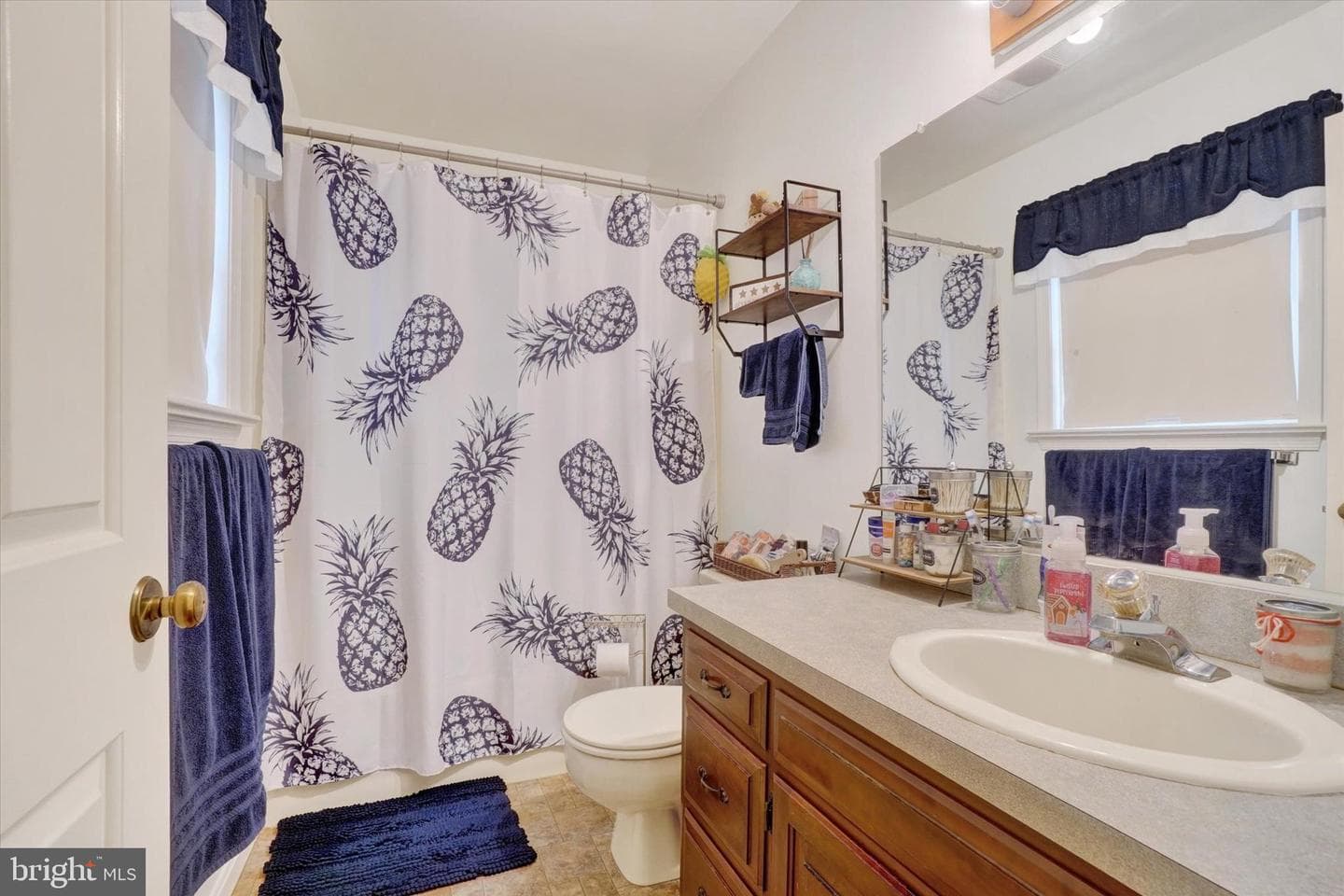 1313 Crown Vetch Drive photo 22