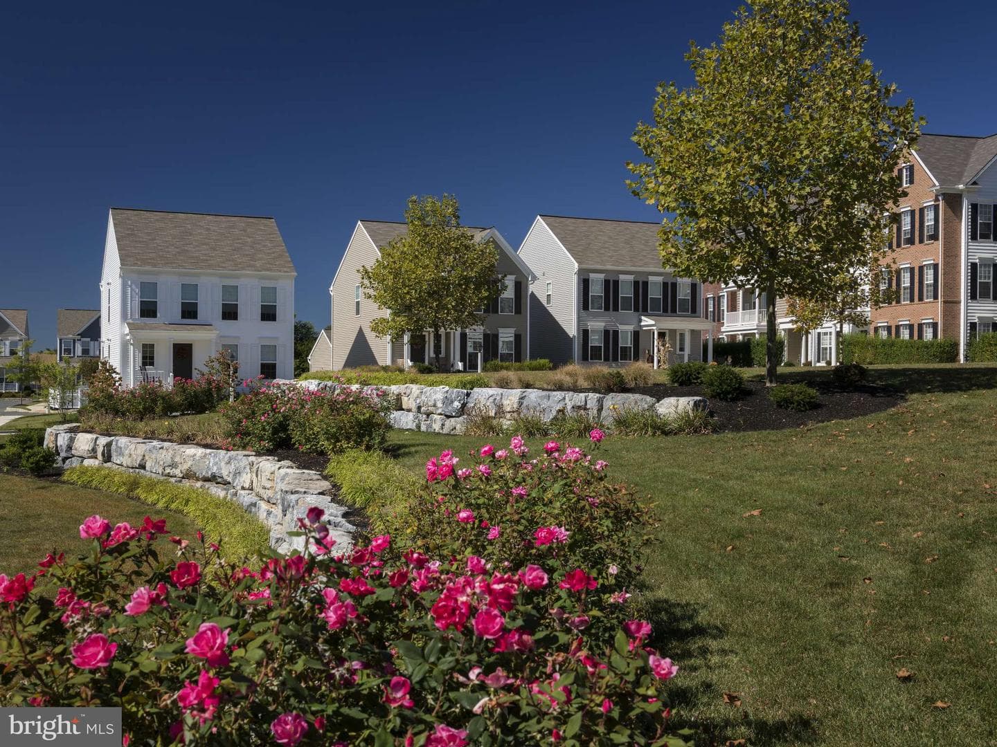 104 Merchant Avenue #arundel photo 37