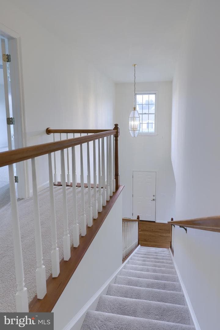 2041 Wynfield Drive photo 24