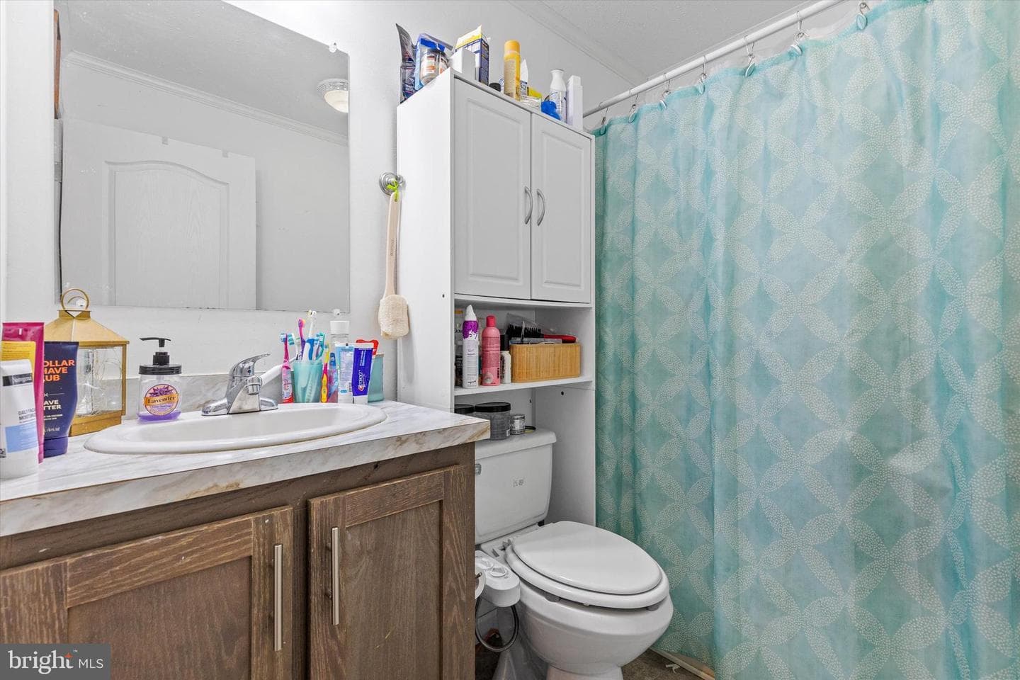 101 Fawn Meadow Court photo 20