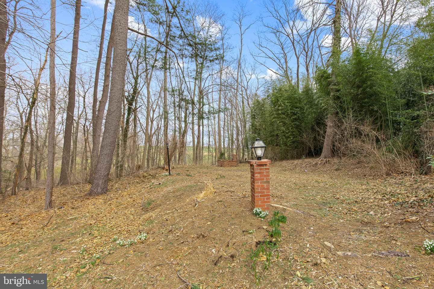 899 Winter Hill Road photo 9