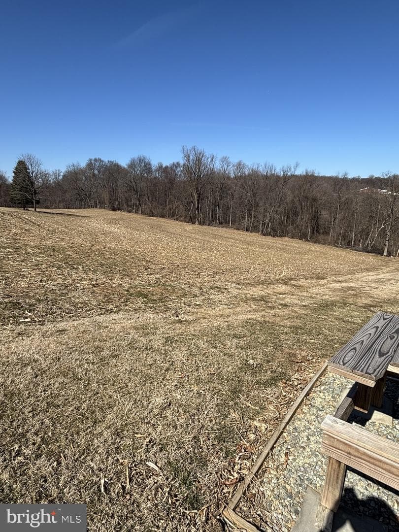 131 Stump Road photo 42