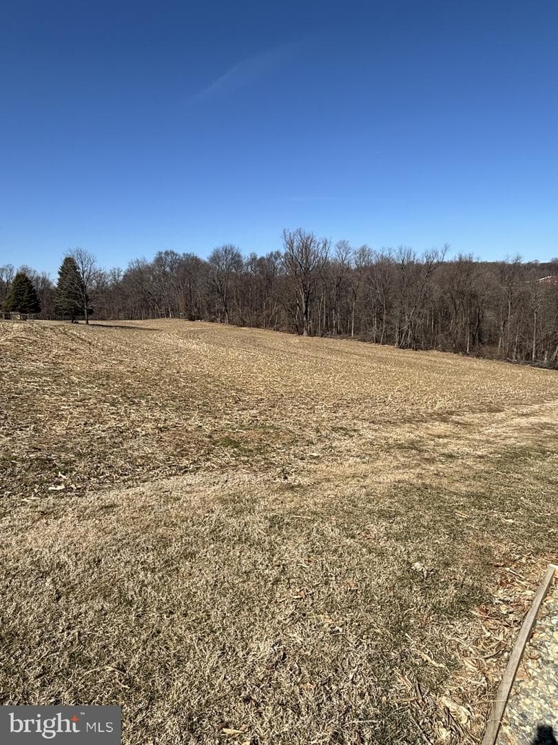131 Stump Road photo 43