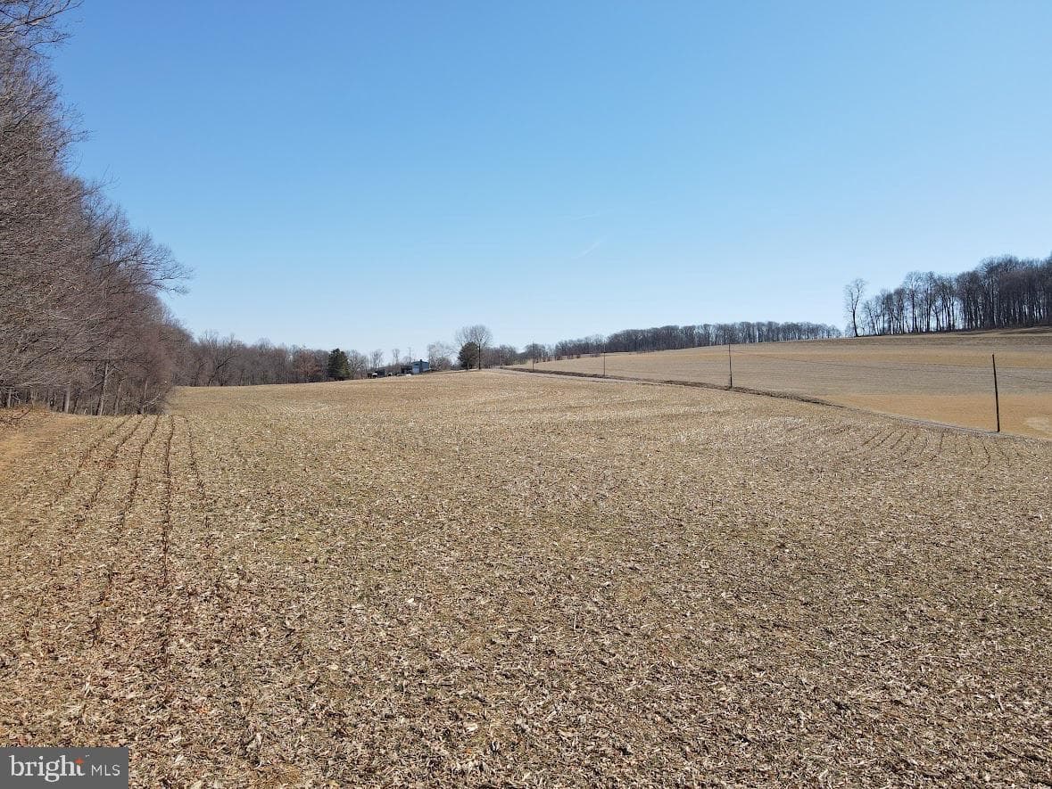 131 Stump Road photo 44