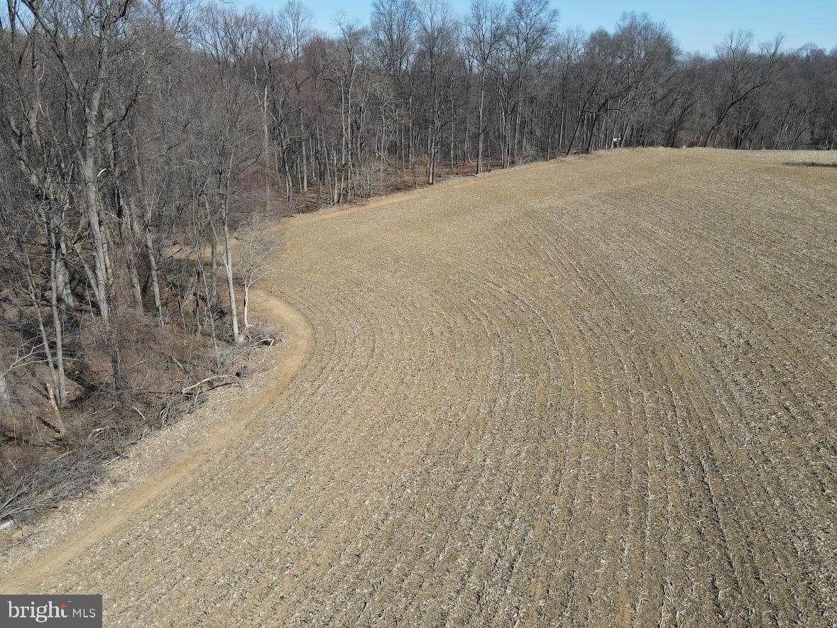 131 Stump Road photo 47