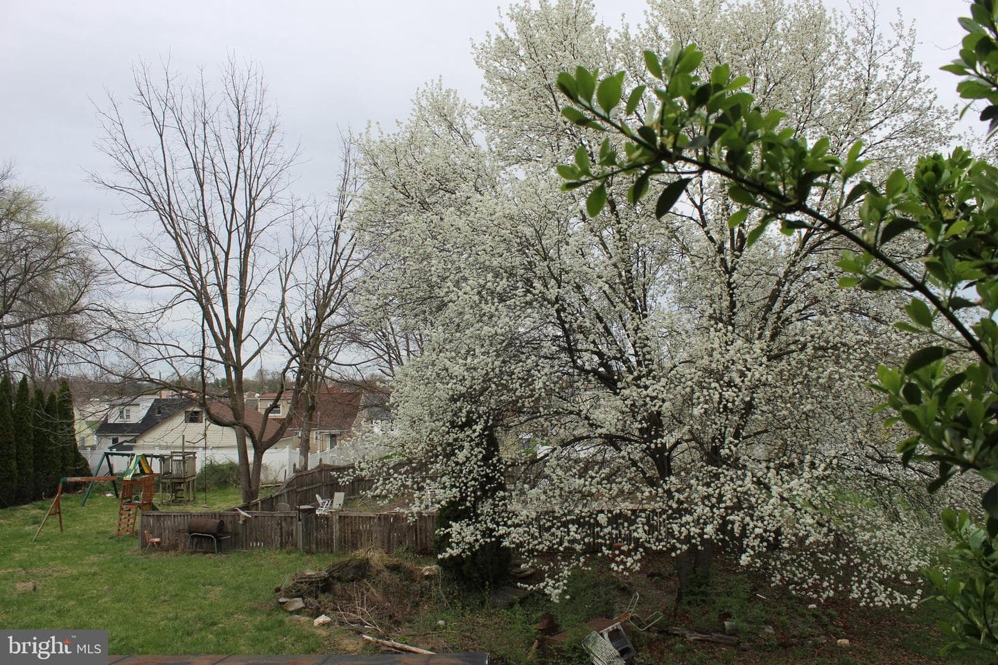 67 Keller Avenue photo 8