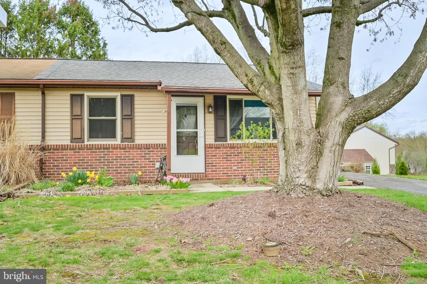17 Turnbridge Drive photo 22