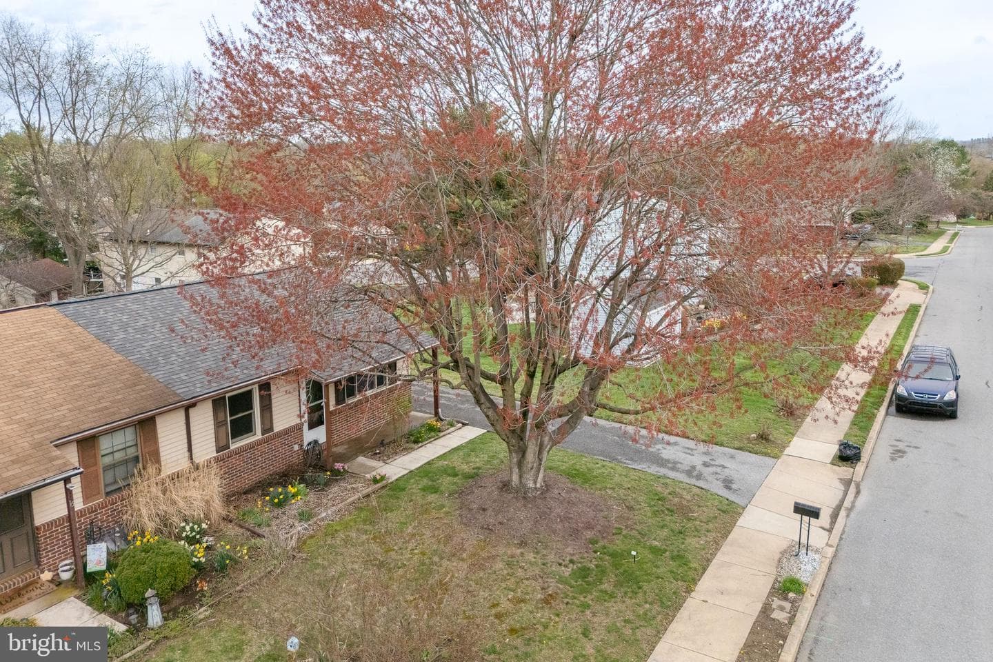 17 Turnbridge Drive photo 26