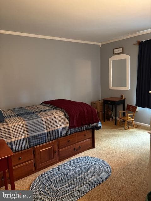 123 Tracy Berg Road photo 10