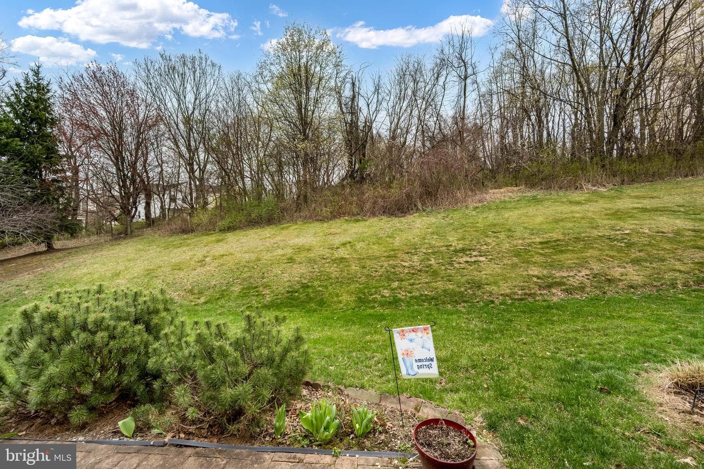 208 Oakridge Drive photo 22