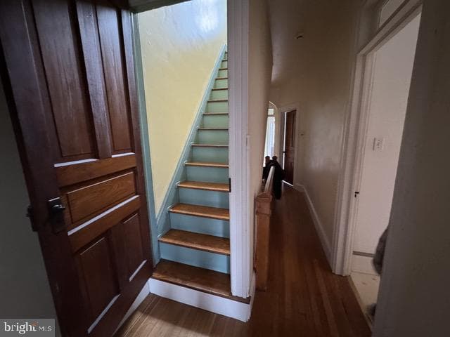 227 Elm Street photo 18