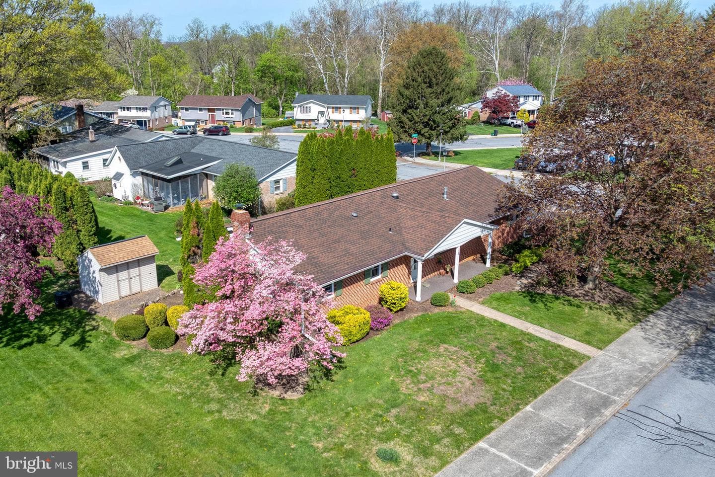 18 Oaklawn Boulevard photo 38