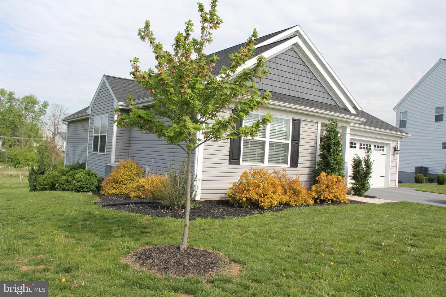 25 Amber Lane photo 10