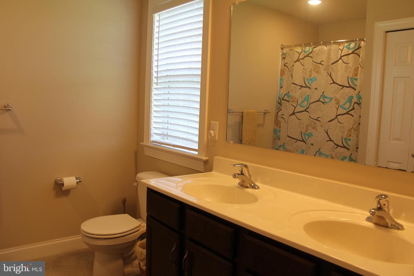 25 Amber Lane photo 27