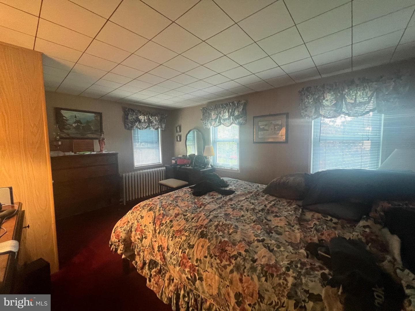 23 Wilson Avenue photo 13