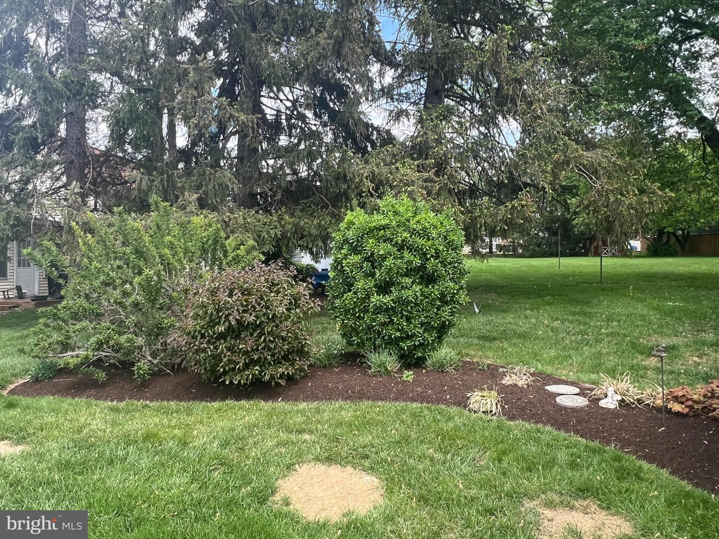 23 Wilson Avenue photo 15