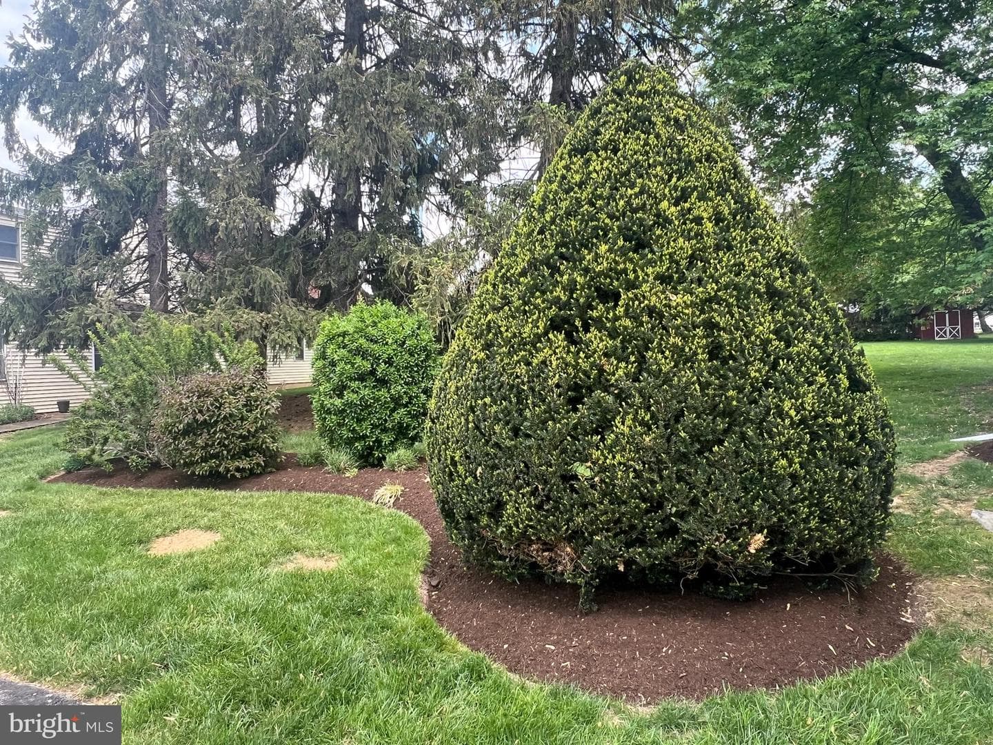 23 Wilson Avenue photo 16