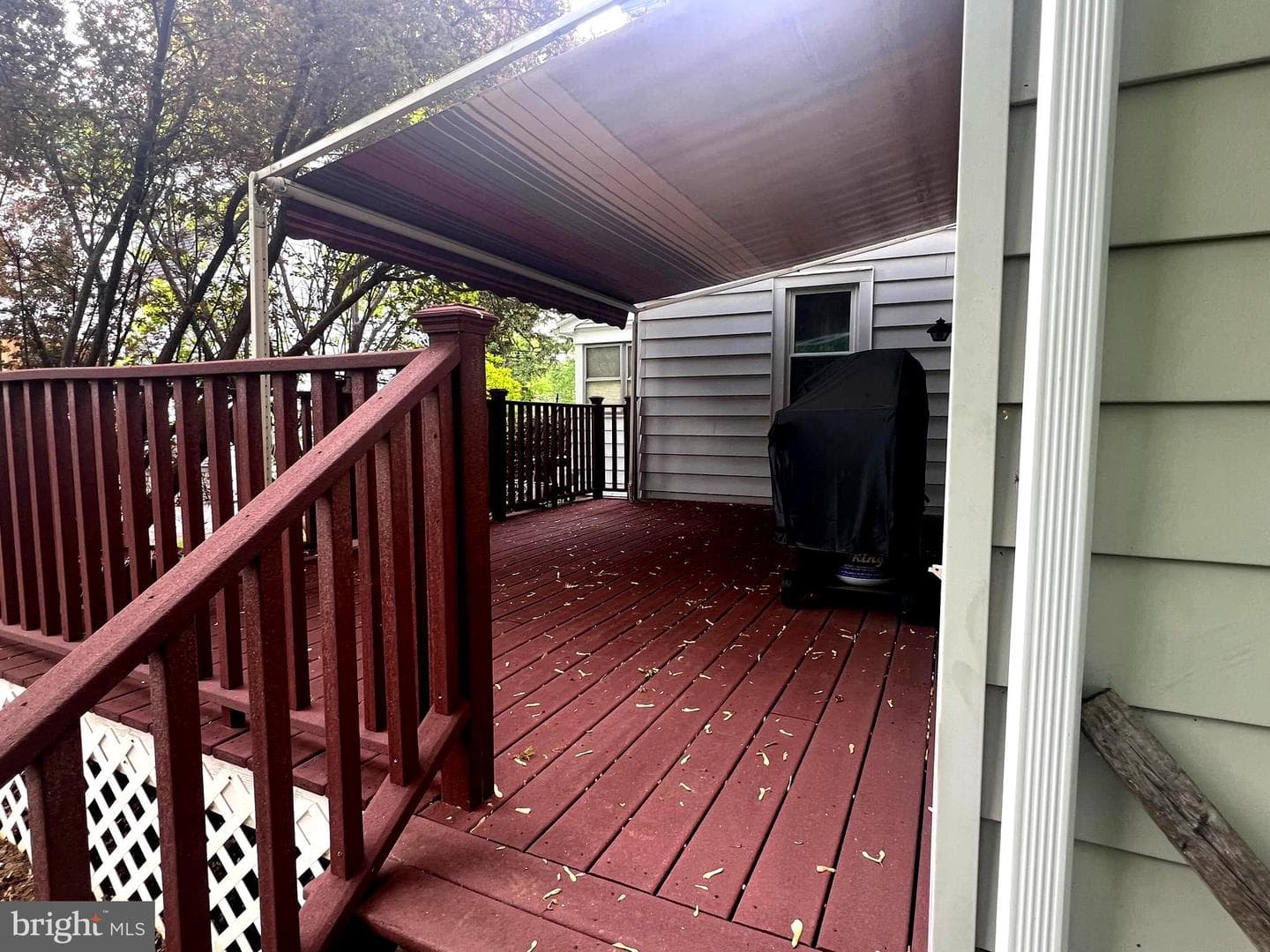 23 Wilson Avenue photo 19